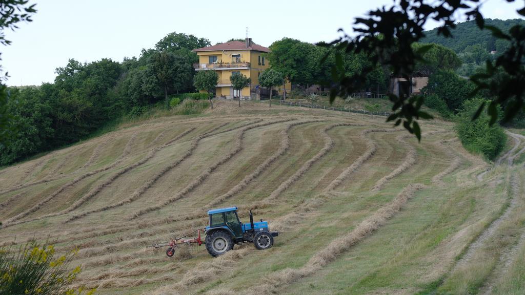 Agriturismo Fattoria Poggio Boalaio Villa ออร์เวียโต ภายนอก รูปภาพ