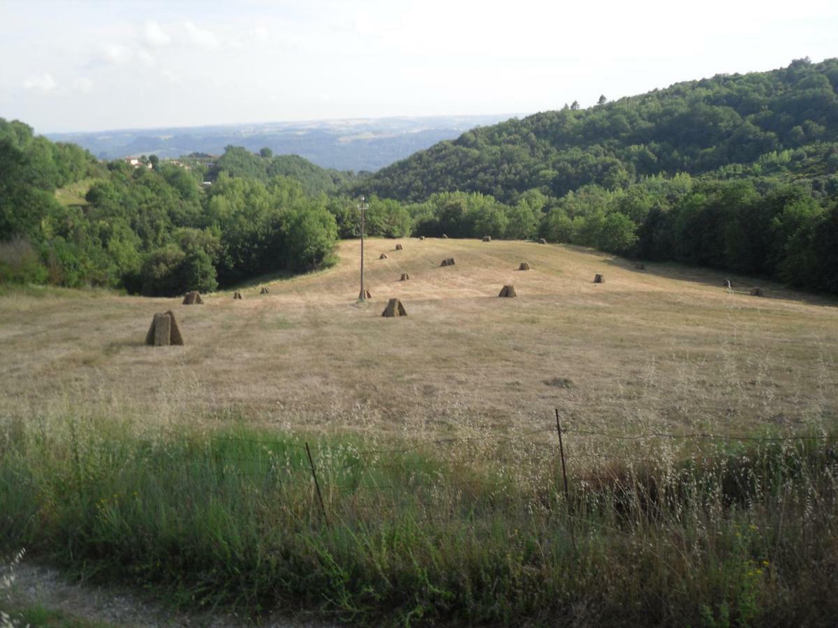 Agriturismo Fattoria Poggio Boalaio Villa ออร์เวียโต ภายนอก รูปภาพ